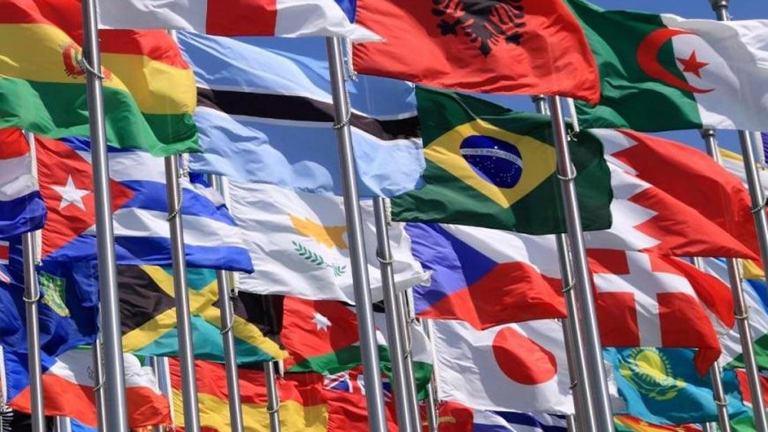 internacionalização-caroline-balbino-plataforma-setor-moveleiro