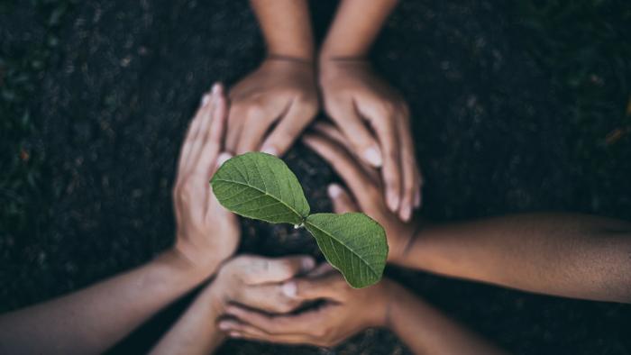 Design sustentável: saiba como essa tendência pode influenciar os negócios de empresas que atuam no setor moveleiro