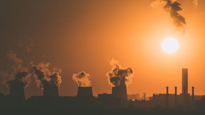 Empresas carbono neutro: o que são e como podem impactar o setor moveleiro?