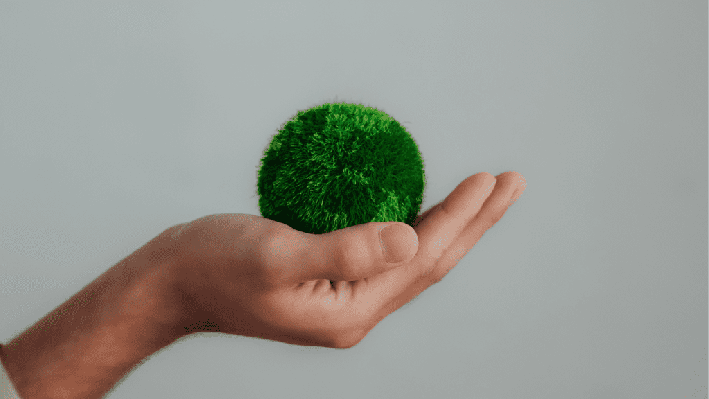 Sustentabilidade: o que é e como se aplica ao setor moveleiro?
