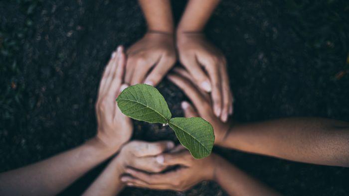 Selo Verde Brasil: quais são os benefícios da certificação sustentável para a indústria moveleira?