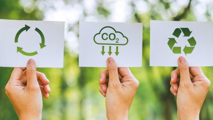 Colchões Castor e LEAF lançam travesseiro sustentável: conheça os benefícios