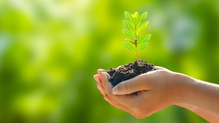 Certificação ESG: como a Colchões Castor conquistou o selo que assegura a sustentabilidade e a responsabilidade social da marca?