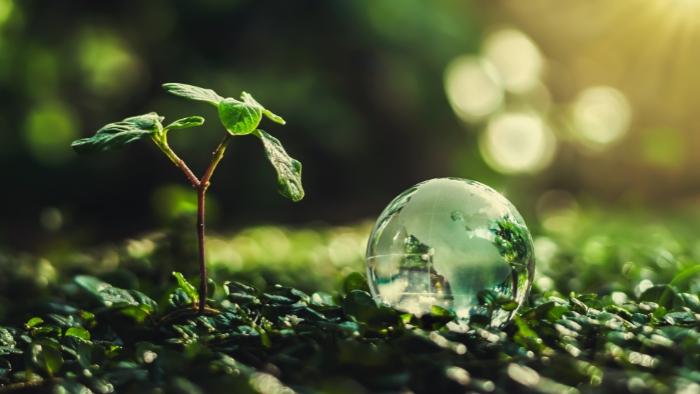 A preocupação com o meio ambiente como pilar estratégico no setor moveleiro B2B