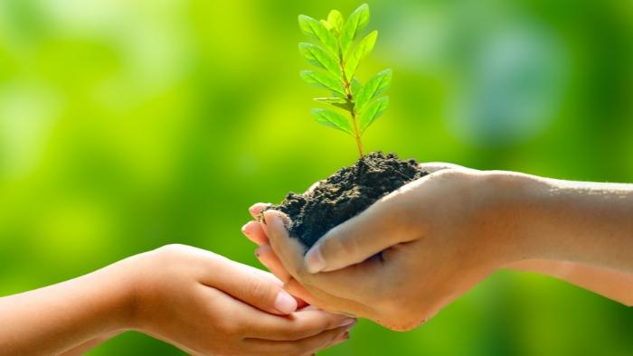 A preocupação com o meio ambiente como pilar estratégico no setor moveleiro B2B