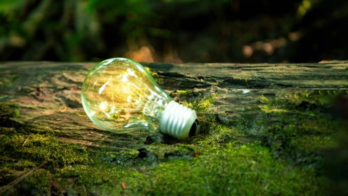 A sustentabilidade como pilar estratégico no setor moveleiro B2B
