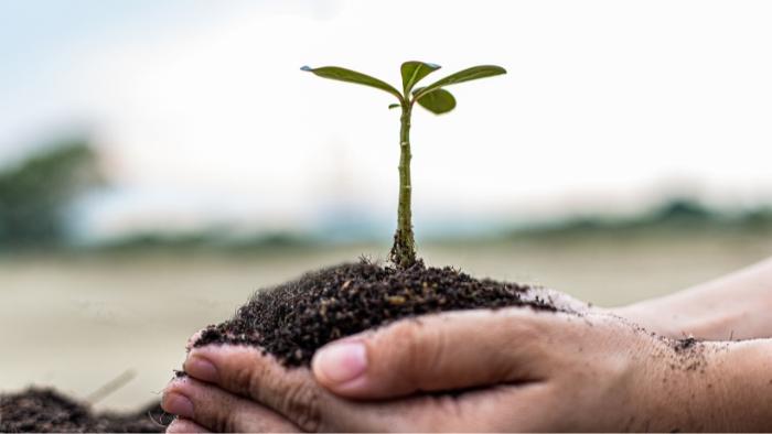 A preocupação com o meio ambiente como pilar estratégico no setor moveleiro B2B