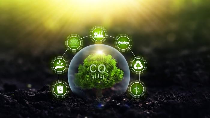 Sustentabilidade na indústria colchoeira: como o Grupo Castor aplica a logística reversa de embalagens e quais são os impactos?