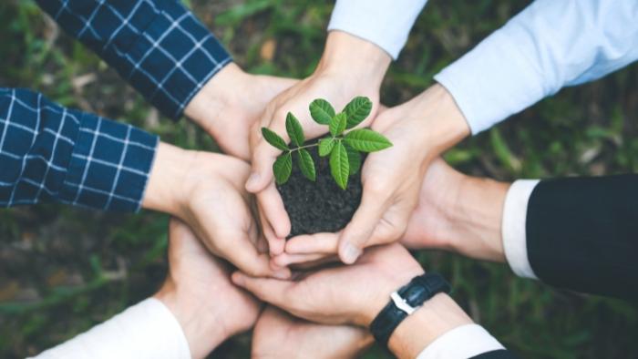 Sustentabilidade na indústria colchoeira: como o Grupo Castor aplica o conceito e quais são os impactos?