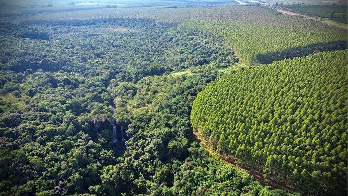 Eucatex publica documento e mostra como aplica práticas de ESG no seu dia a dia