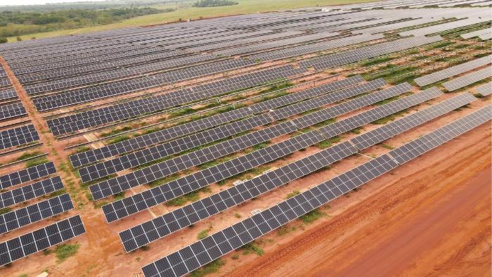Eucatex conquista prêmio internacional por sustentabilidade na indústria madeireira
