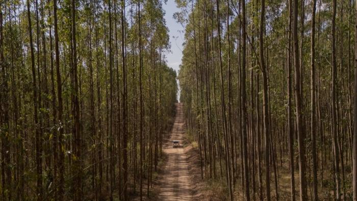 Eucatex comemora 75 anos e relembra trajetória construída ao lado da indústria moveleira